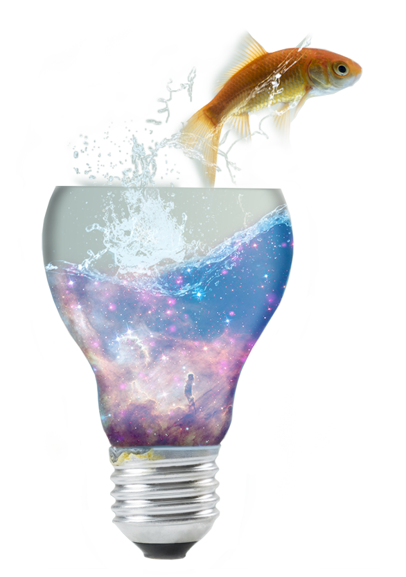 Mainostoimisto Sky5media